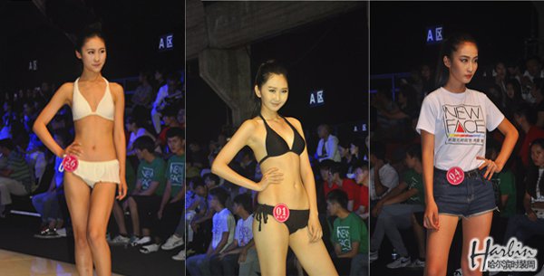 新丝路资深教师牛哲专访